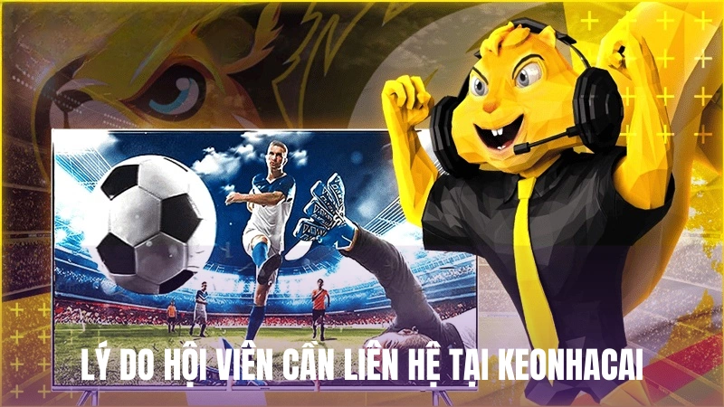 Lý do hội viên nên tiến hành liên hệ Keonhacai